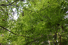 camp30 (173)_thumb.png